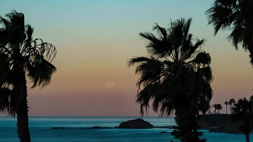 A time lapse of a coastal area at sunset contains multiple palm trees being blown by the wind