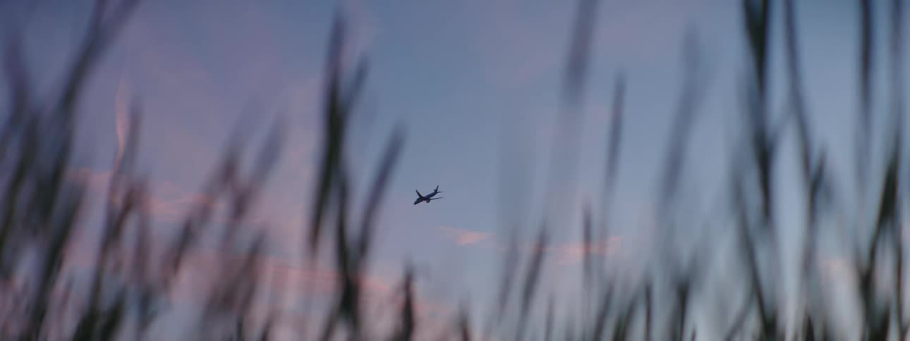 A plane flying at sunset