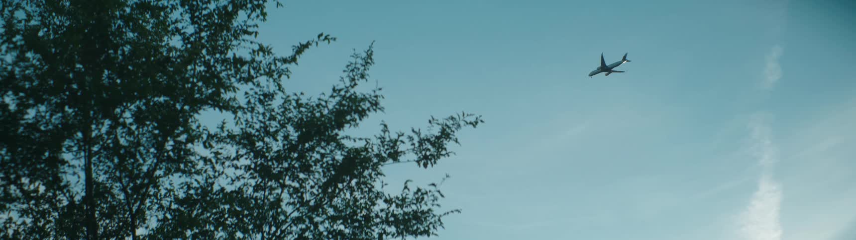 An airplane flies over a forest