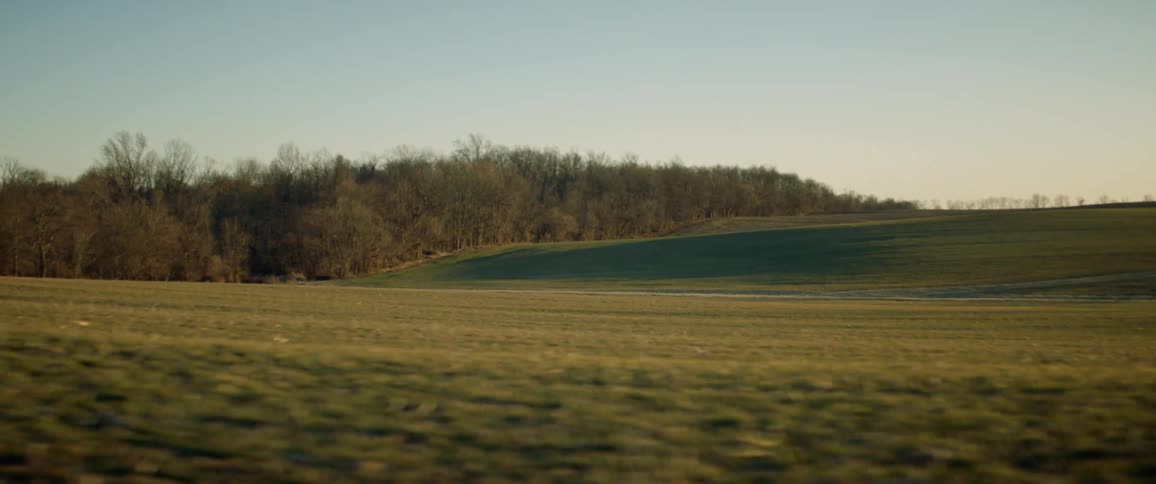 A forest stands next to a wide open expanse of grassland