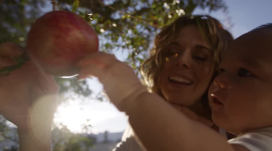 Mother with brown wavy hairand white shirt holds son touching pomegranate in the garden