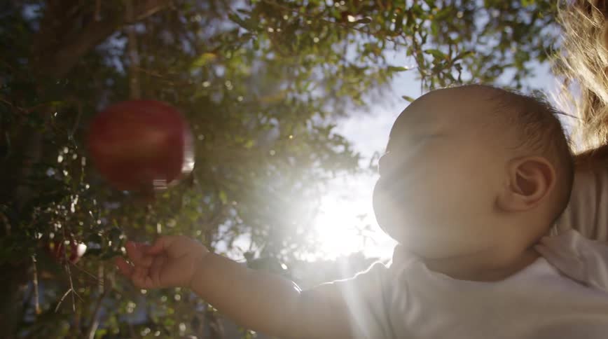 Mother with wavy hair and white shirt holds baby touching pomegranate on tree