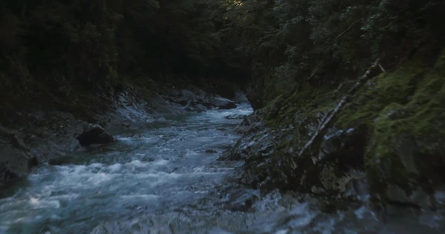 Drone view flying up a small, rocky creek lined with dense vegetation