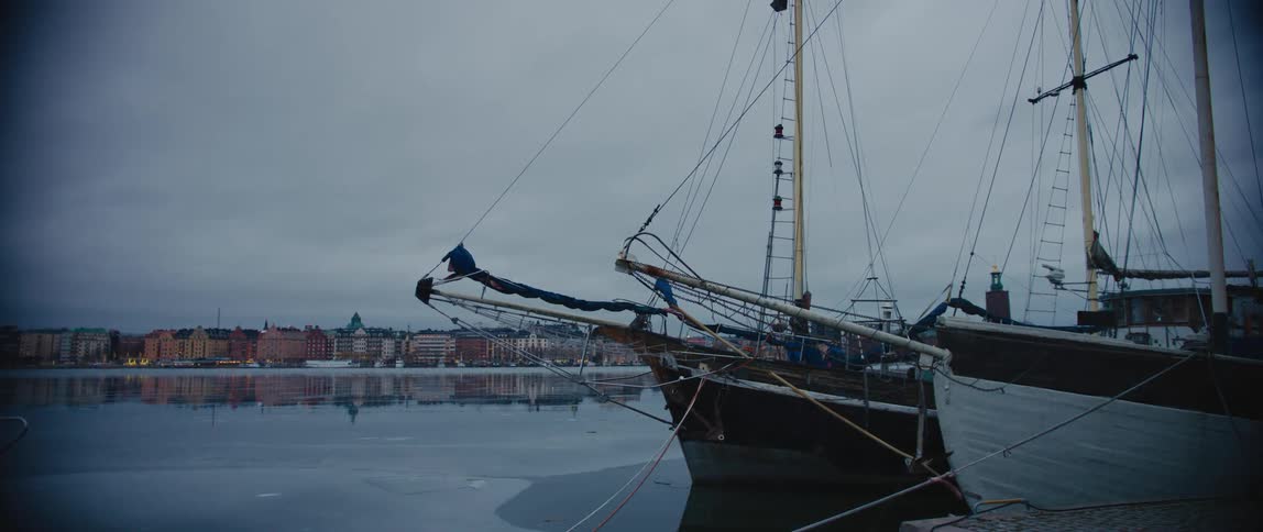 Sailboats sit docked in a marina on the other side of a river from a town
