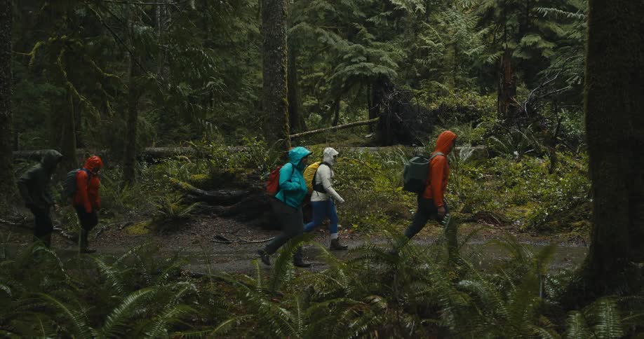 A group of friends with raincoats and backpacks walks in the woods as it rains