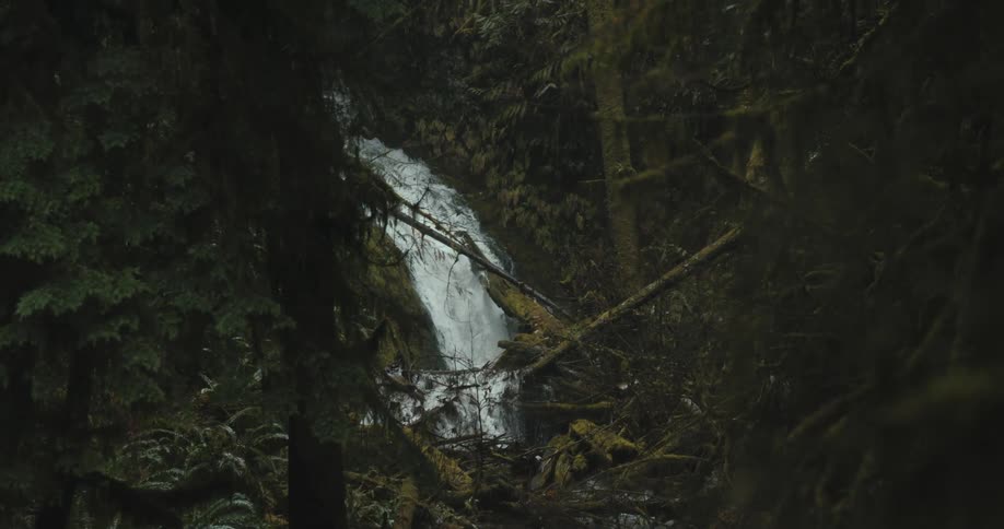 A waterfall flowing over a cliff in a forest