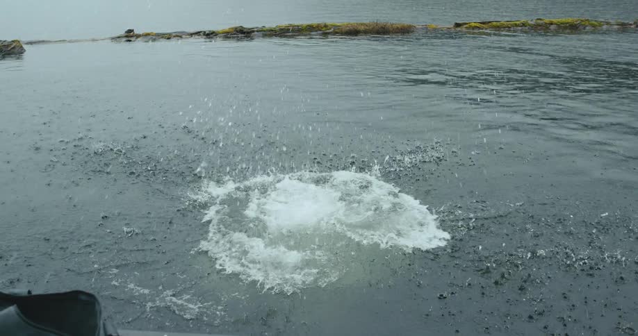 A man doing a backflip into a lake on a summer day