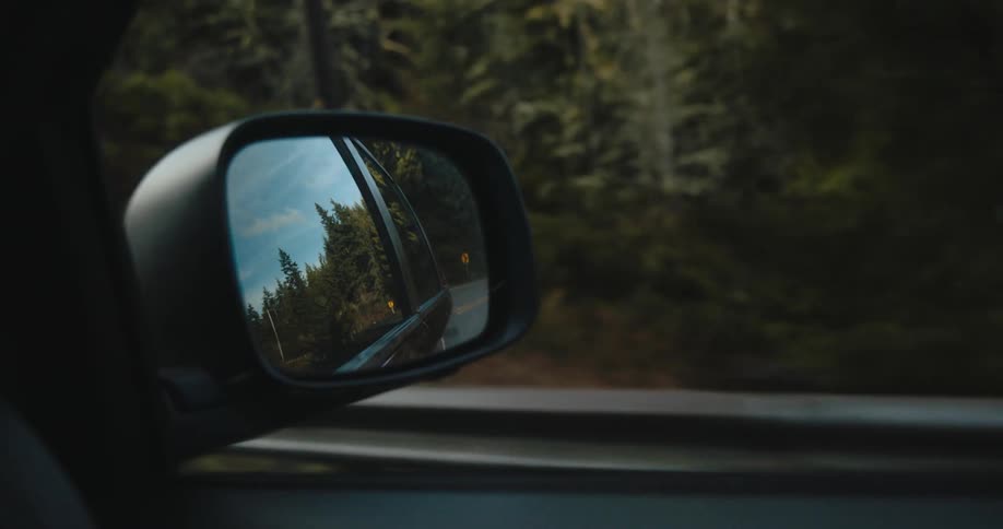 A car driving through a forest