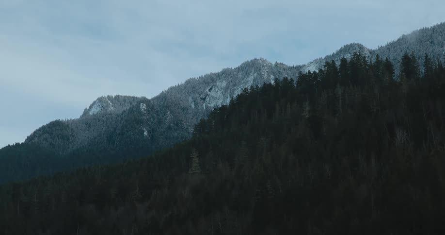A forest of trees below a snow dusted mountain ridge
