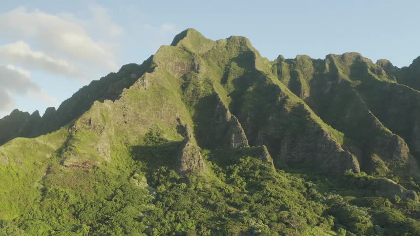 Trees and plants along a mountain ridge and a few clouds in the sky