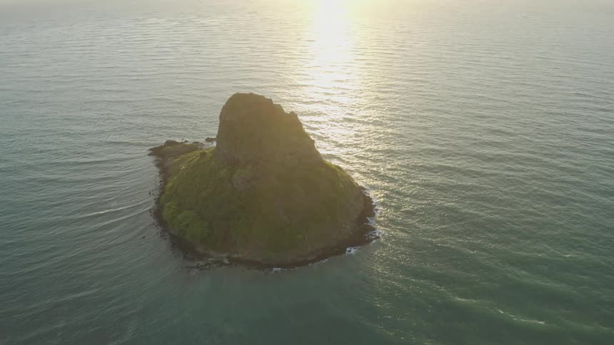 An islet covered in thick vegetation in the ocean during the day