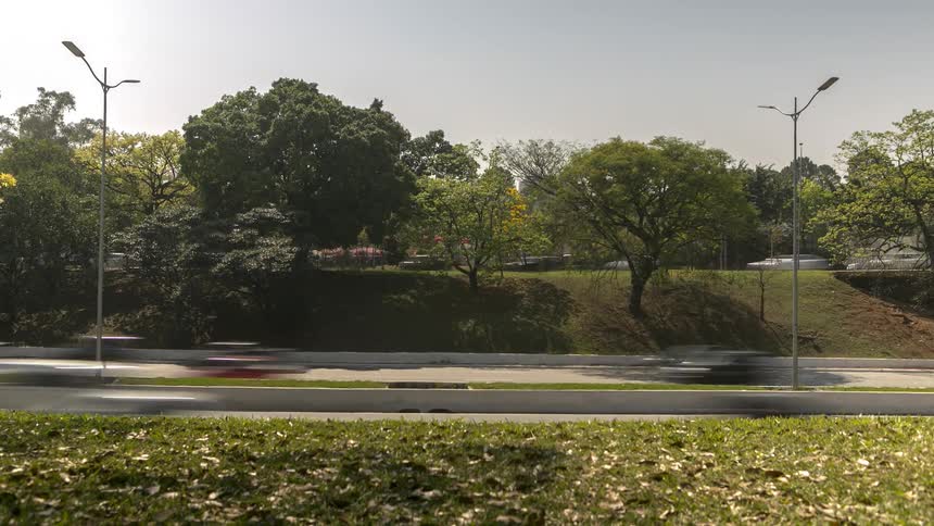 Vehicles travel on major avenue 23 de maio near the trees on a sunny day