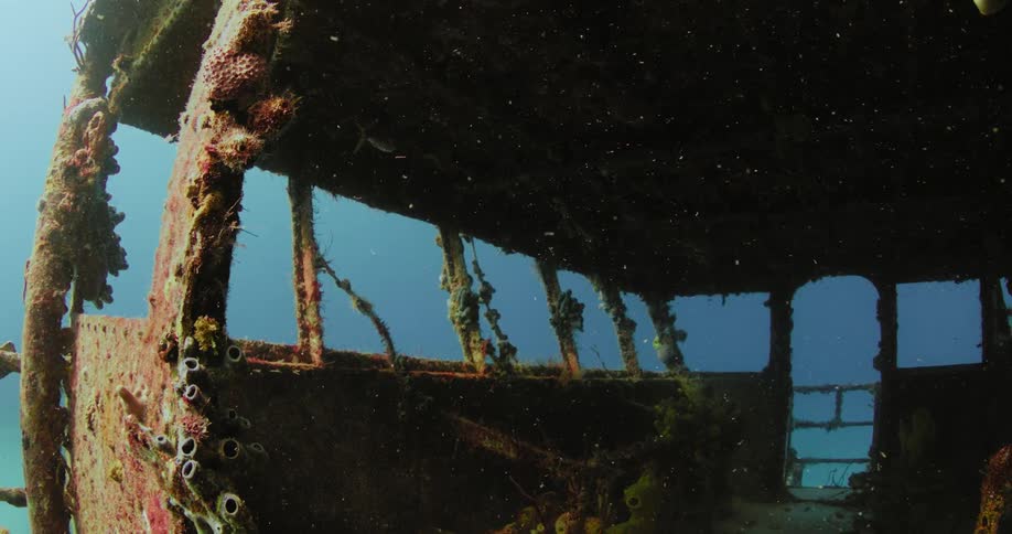 Shipwreck covered in barnacles at the bottom of the ocean