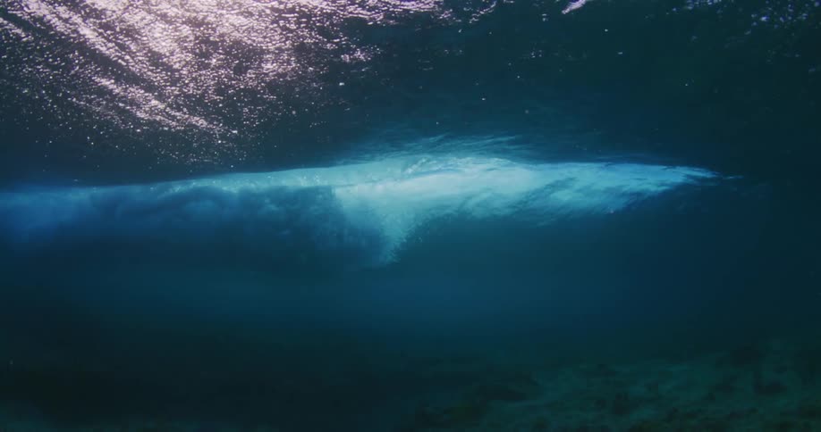 Plant life at the bottom of the ocean under the ocean waves