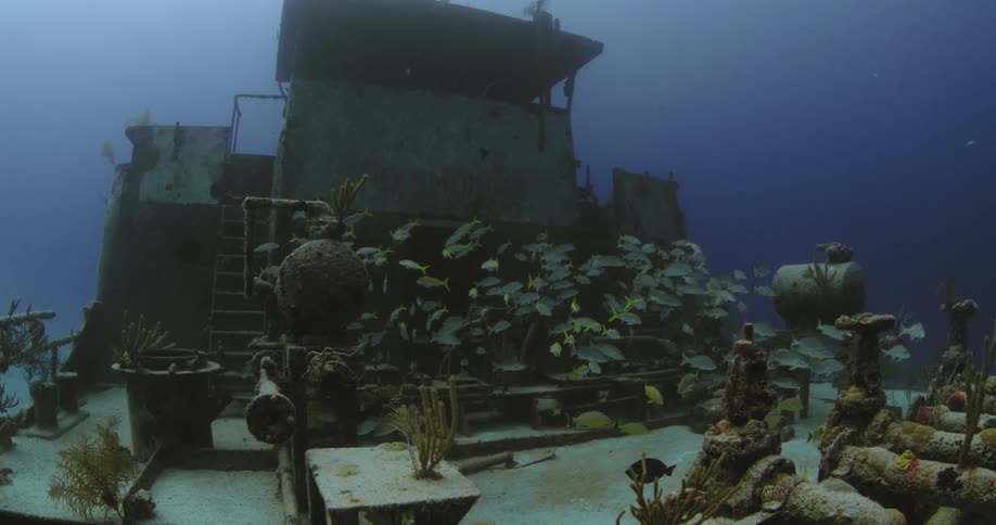 A school of fish swims around the wreckage of a ship underwater during the day