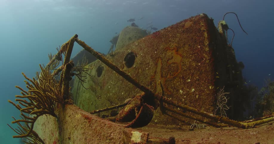Fish swim near the ruins of a sunken ship