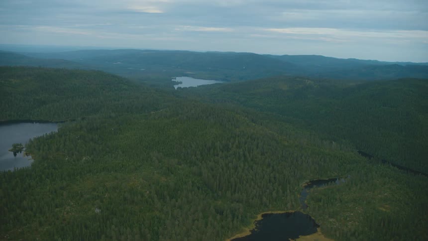 The mountains are covered with green