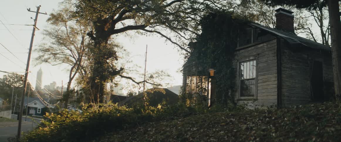 Abandoned house with plants growing on it in a residential neighborhood on the outskirts of a city