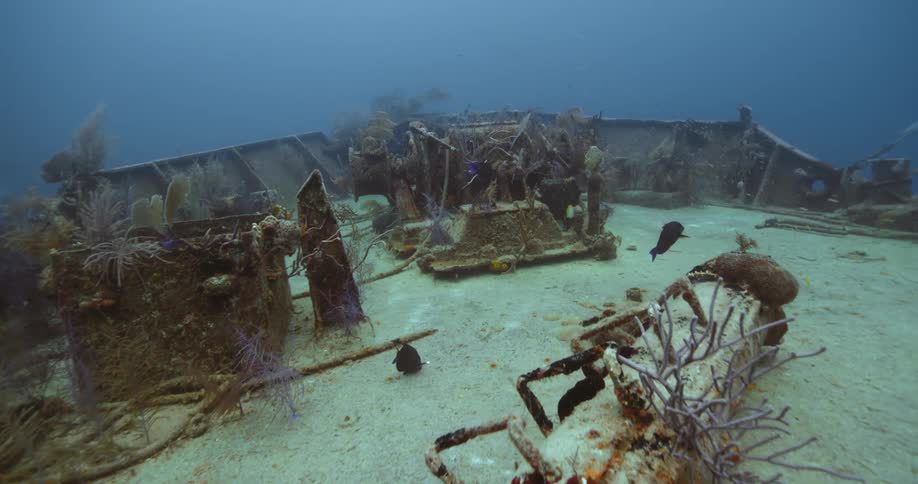 Fish swim around parts of a wrecked ship on the ocean floor
