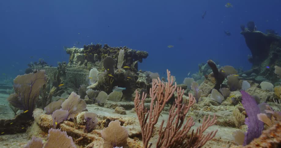 A view of a ship wreck under water