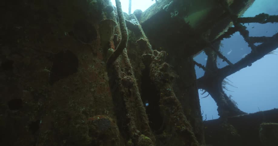 The shipwreck underwater is covered with moss