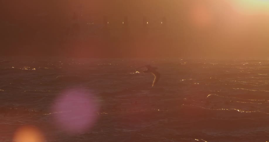 A seagull flies across an ocean sunset with strong waves and a distant ship