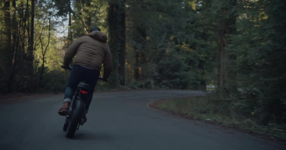 A cyclist is riding a bike on a winding forest road