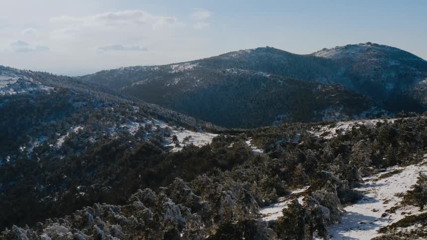 Aerial view of snowy mountains and forest