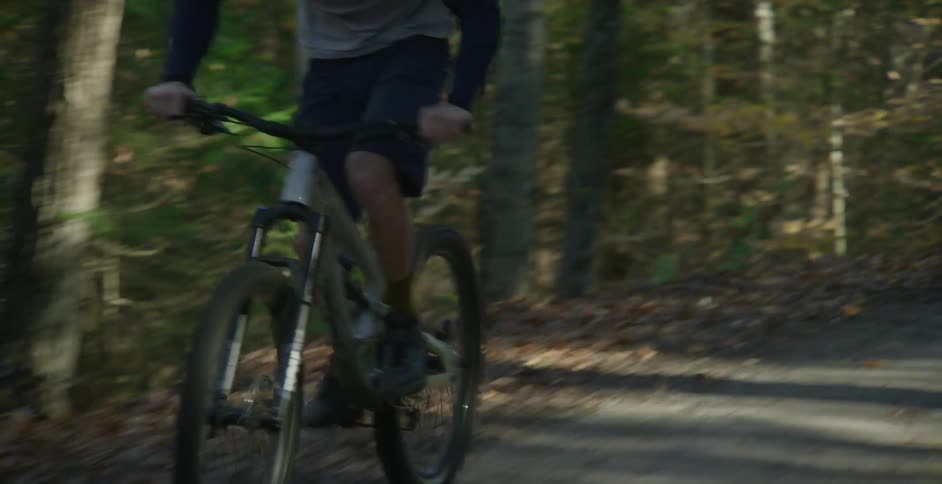 A man riding a bike in a forest