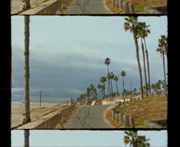A paved trail runs along the beach