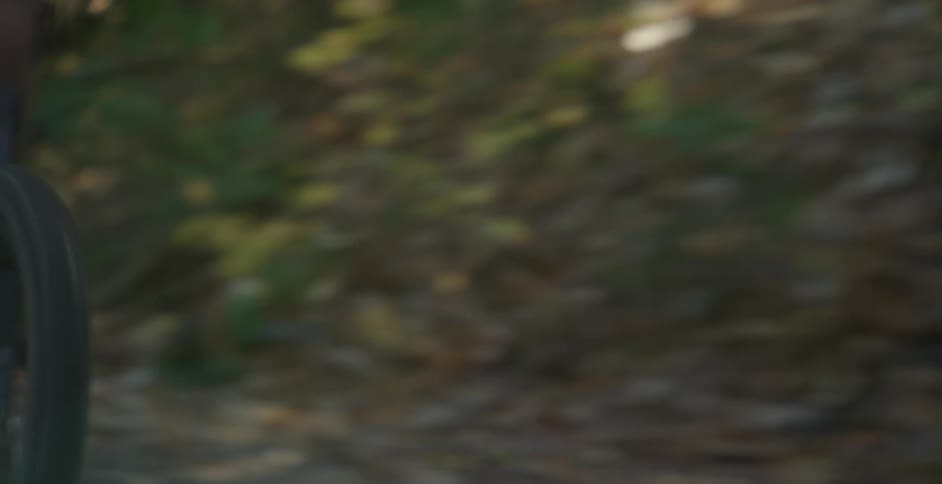 A man rides a bicycle at high speed through a woodland during the day