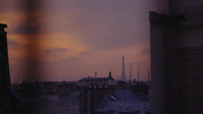 View of Eiffel Tower over Paris rooftops
