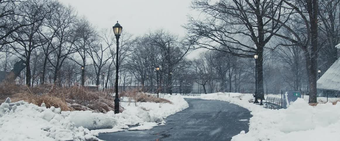 Snow falling in a park during a winter storm