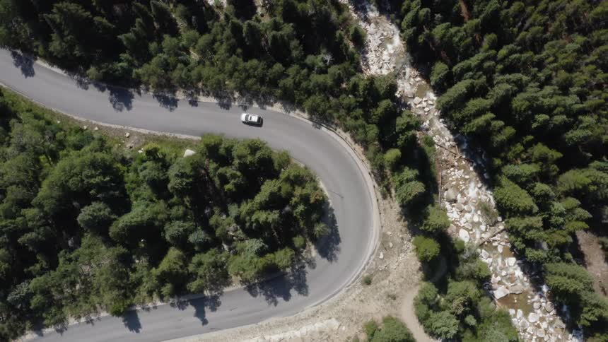 A vehicle travels along a winding road through a woodland during the day
