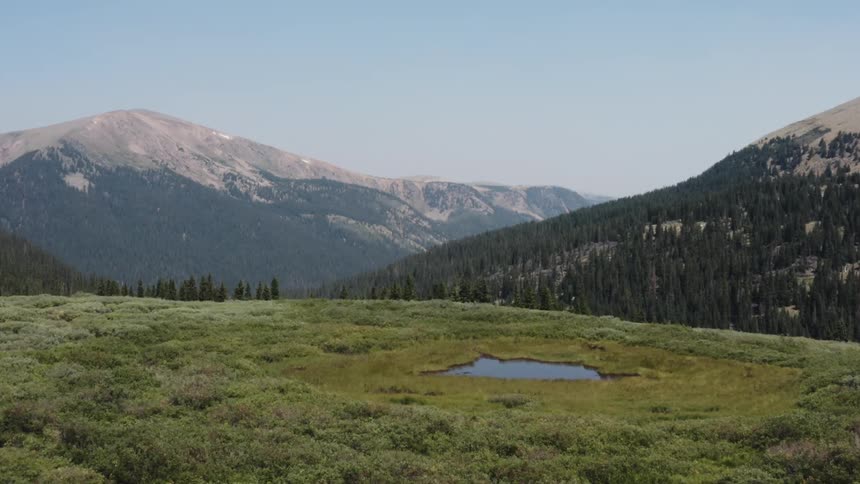 Aerial view of a hill close to the pine tree forest growing on the mountain range