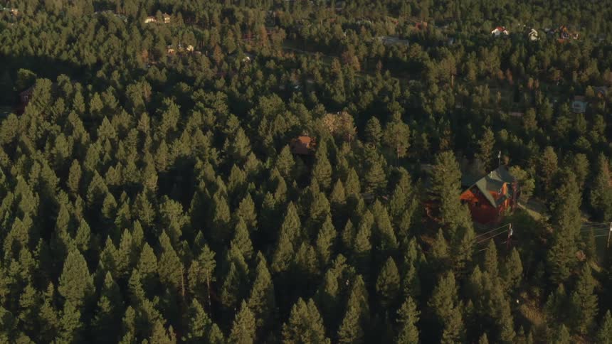 The dense forests has a few homes scattered