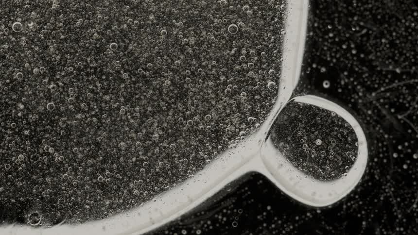 A small liquid bubble combines with a larger bubble under a microscope