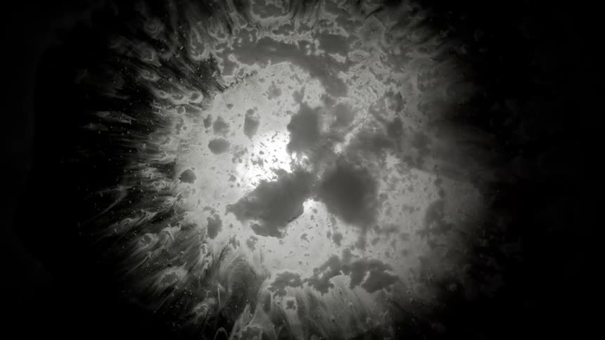 White Hole