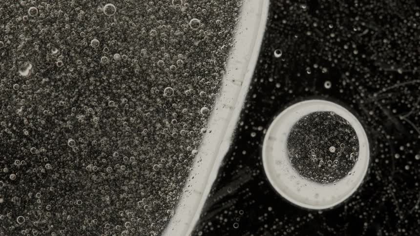 Bubbles suspended in liquid