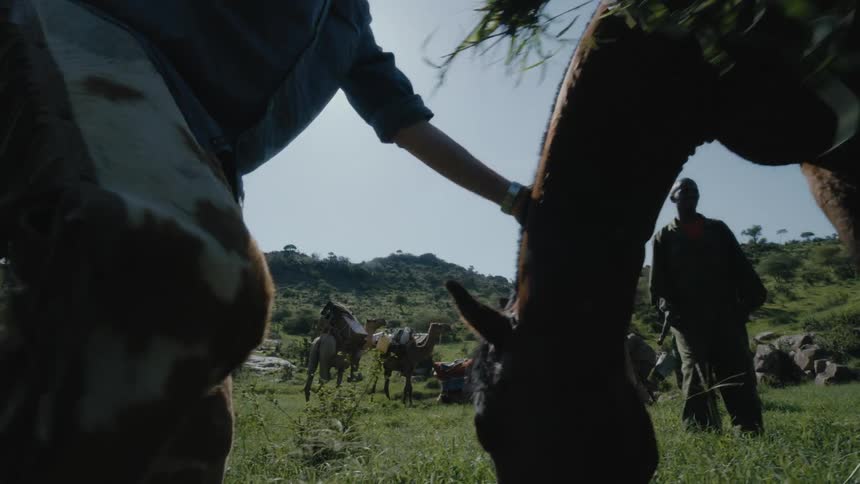 A man is rubbing down the horse with grass