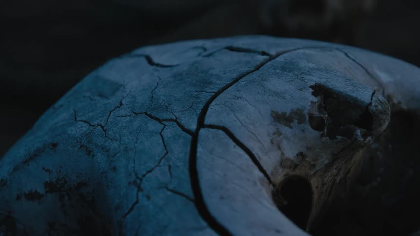Close up view of a rock at night