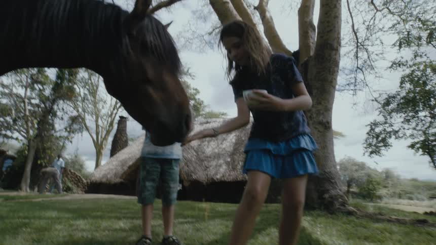 Girl feeding a horse with her hand while her brother is standing nearby