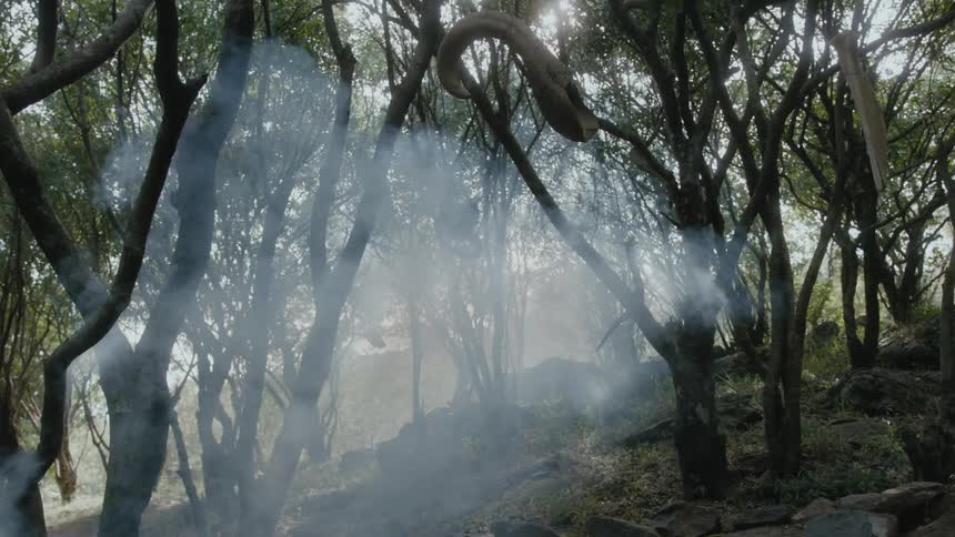 Dense smoke rises in a forest where animal horns are strung from trees