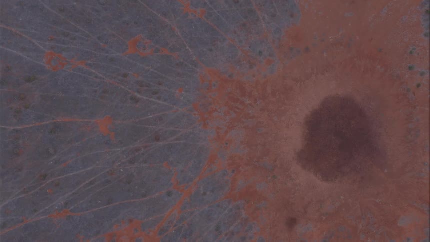 Artwork is shown in different colors