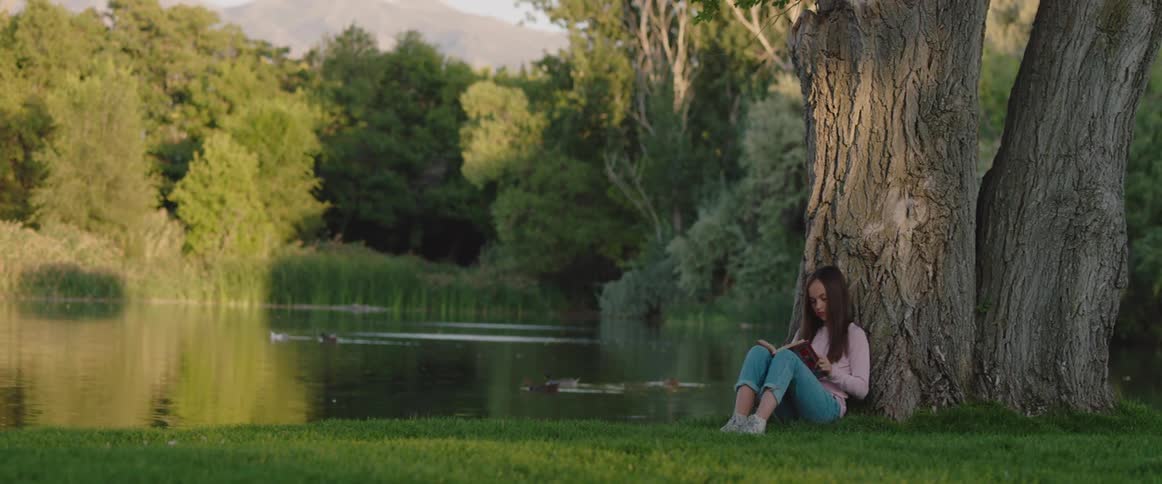 A girl is sitting near a tree reading a book as ducks swim in the pond surrounded by trees