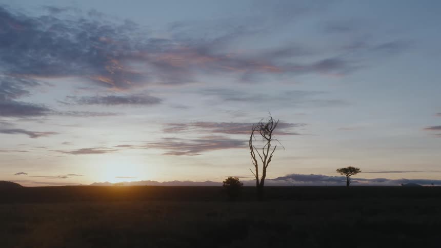 The sun setting over the savanna