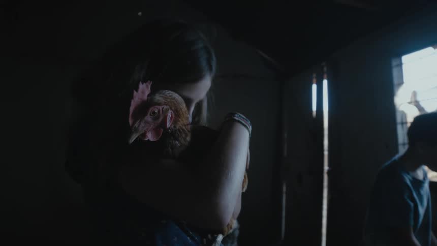 Girl holding and petting a chicken indoors while her brother and father are behind her taking care of the other chickens