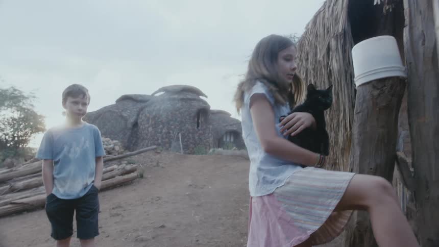 Girl holding a black cat pushes the door on a wooden fence in a rural farm at morning