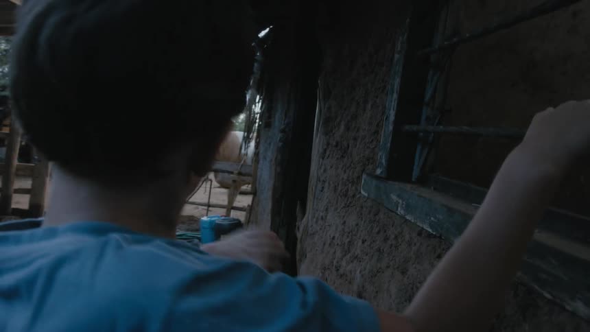 A boy waves at a cow on a farm while looking into the animals stable