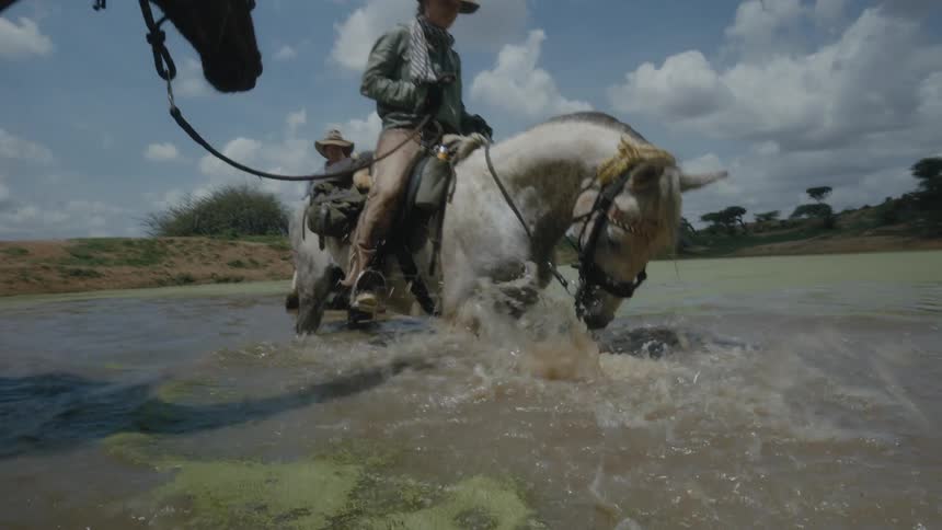 Two horses move around in the water